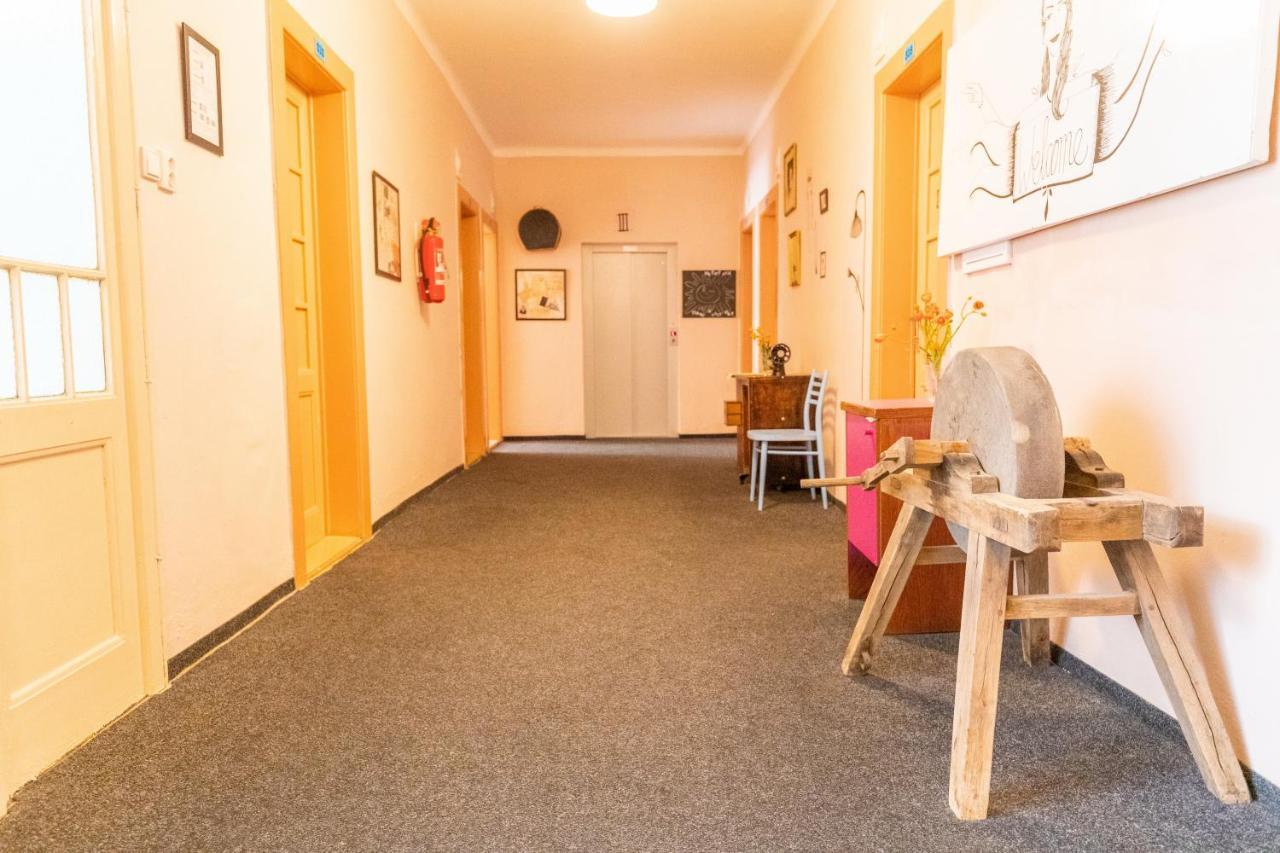 Albergue Dakura *